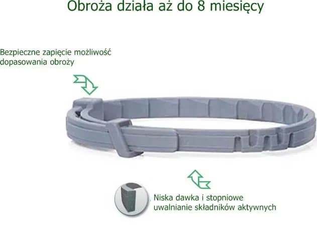 Obroża Foresto czy tabletki - co wybrać dla swojego psa? Obroża Foresto czy tabletki - co wybrać dla swojego psa?