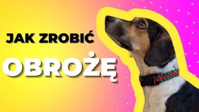 Jak zrobić plecioną obrożę dla psa - krok po kroku z materiałami